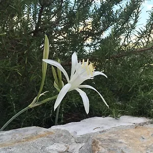 Ca' Di Bianca Guest house
